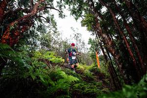 BIB: 
                            <button type="button" onclick="openModal(26201674)" class="btn btn-primary btn-sm float-right btn-popup" data-toggle="modal" data-target=".modal-high-quality">
                        <i class="fas fa-shopping-cart"></i> Add to Cart
                    </button>
                                            <button type="button" onclick="isThisMe(26201674, true)" class="btn btn-success btn-sm float-right btn-popup btn-isme hidden" data-toggle="tooltip" data-placement="bottom" title="นี่คือรูปของคุณใช่ไหม คลิกที่นี่เพื่อเอาเข้าอัลบั้ม">
                        <i class="fas fa-plus"></i> Add to album
                    </button>
                    <button type="button" onclick="isThisMe(26201674, false)" class="btn btn-warning btn-sm float-right btn-popup btn-isnotme hidden">
                        <i class="fas fa-ban"></i> Remove from album
                    </button>